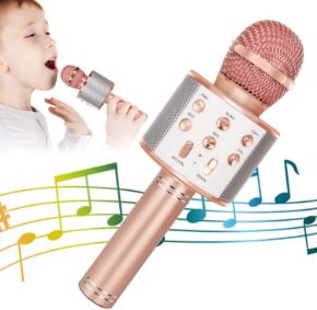Picture for category Karaoke Microphone