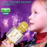 KIDWILL LAND Wireless Bluetooth Karaoke Microphone for Kids