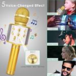 KIDWILL LAND Wireless Bluetooth Karaoke Microphone for Kids
