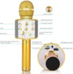 KIDWILL LAND Wireless Bluetooth Karaoke Microphone for Kids