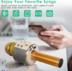 KIDWILL LAND Wireless Bluetooth Karaoke Microphone for Kids