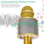 KIDWILL LAND Wireless Bluetooth Karaoke Microphone for Kids