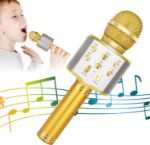 KIDWILL LAND Wireless Bluetooth Karaoke Microphone for Kids