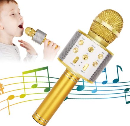 KIDWILL LAND Wireless Bluetooth Karaoke Microphone for Kids