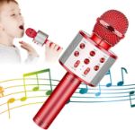 KIDWILL LAND Wireless Bluetooth Karaoke Microphone for Kids